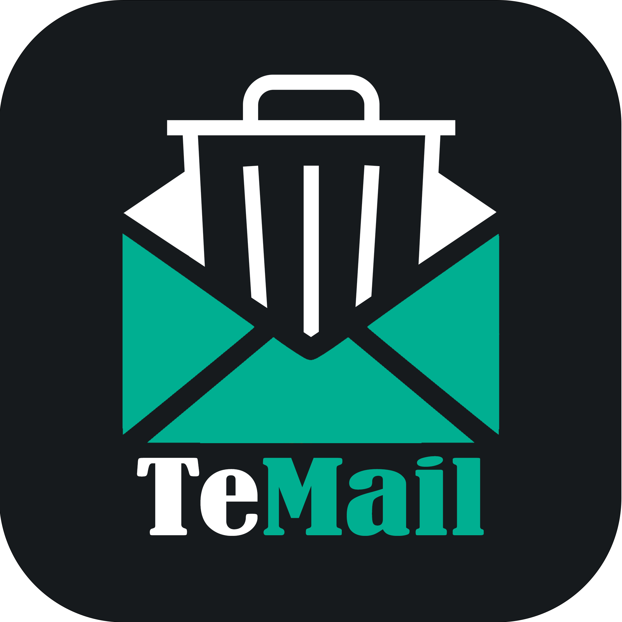 temail.pro